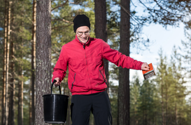 Bussföraren Erik i röd jacka plockar blåbär i skogen.