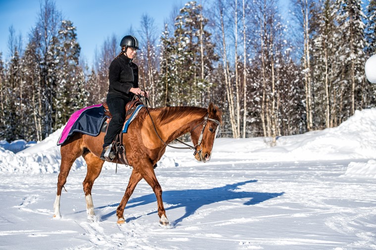 Föraren Anneli rider på en häst