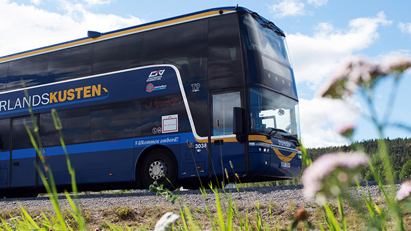 Buss på väg, blommor i förgrunden, himmel i bakgrunden